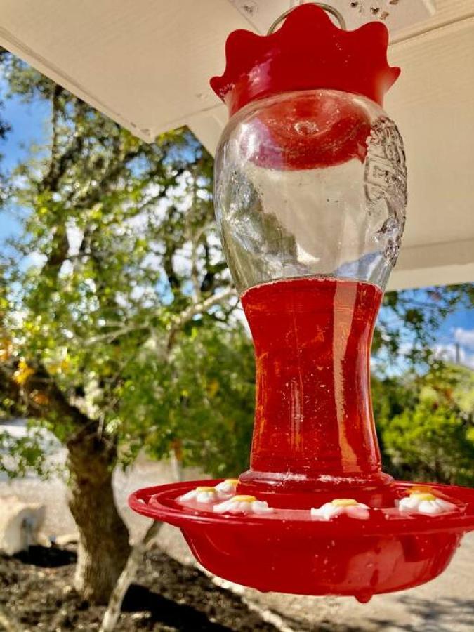 הוילה Spring Branch Hummingbird Haus - Hill Country Views On 20 Acres With Firepit מראה חיצוני תמונה